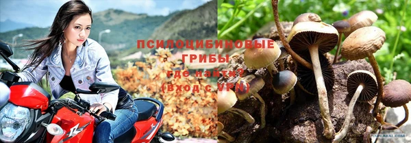 скорость Алексин