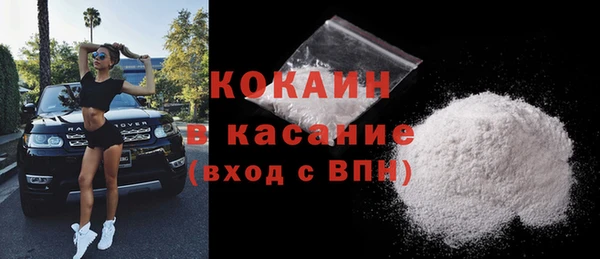 твердый Алексеевка