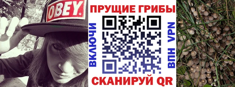 Галлюциногенные грибы Cubensis  Кувшиново 